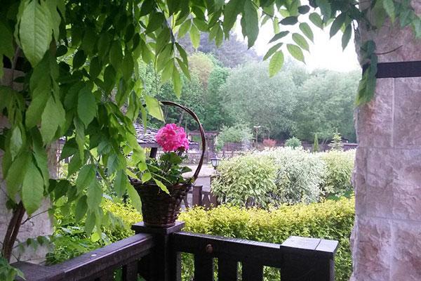 Guest House Pekliuk Gulubovtsi Bagian luar foto